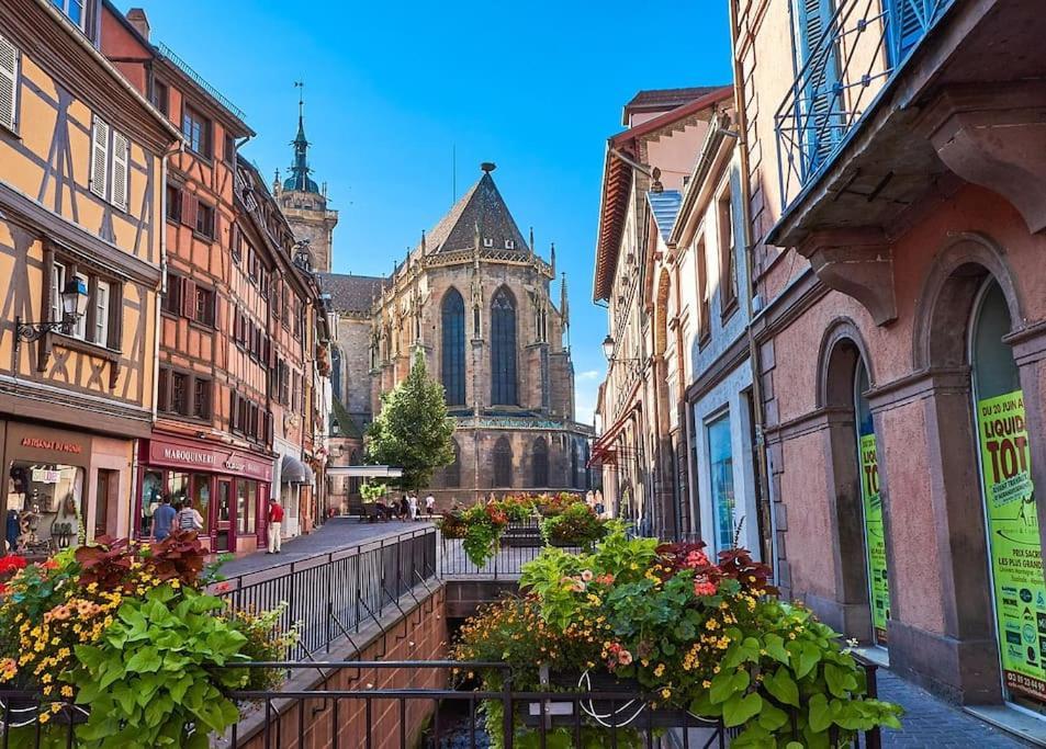 Appartement Centre Historique Avec Parking Inclus Colmar Luaran gambar